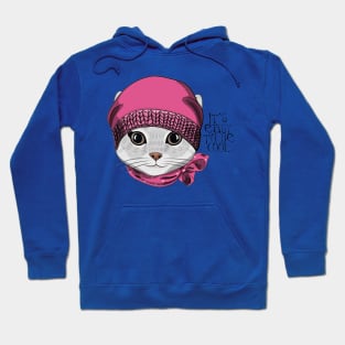 Pretty gray cat with pink knitted hat and pink scarf Hoodie